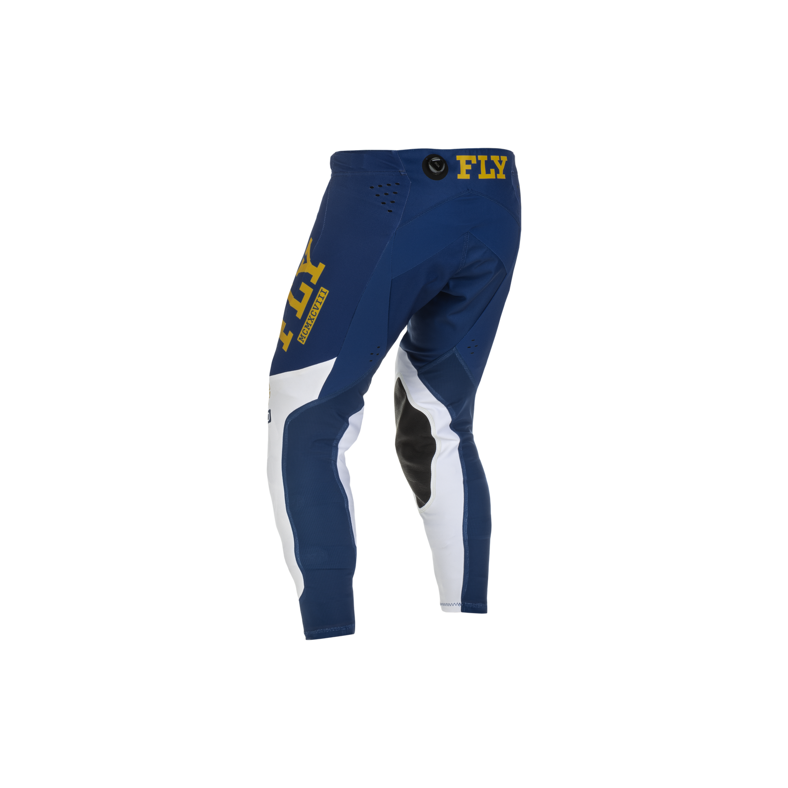 Fly Racing Evolution DST Pant