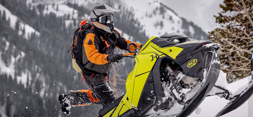 Avalanche & Survival
