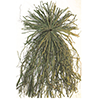 Beavertail Ghillie Bundle - Green